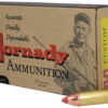 Hornady .450 Bushmaster Ammo, 250gr, FXT, 20rd Box