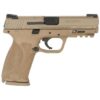 Smith & Wesson M&P M2.0 17rd 4.25" 9mm Pistol w/ TruGlo TFX Sights, FDE